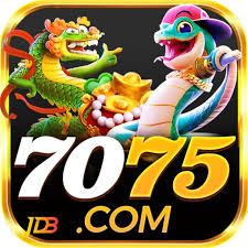 Registro no 7075 win com